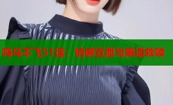 鸣鸟不飞51话：情感宣泄与黑道救赎